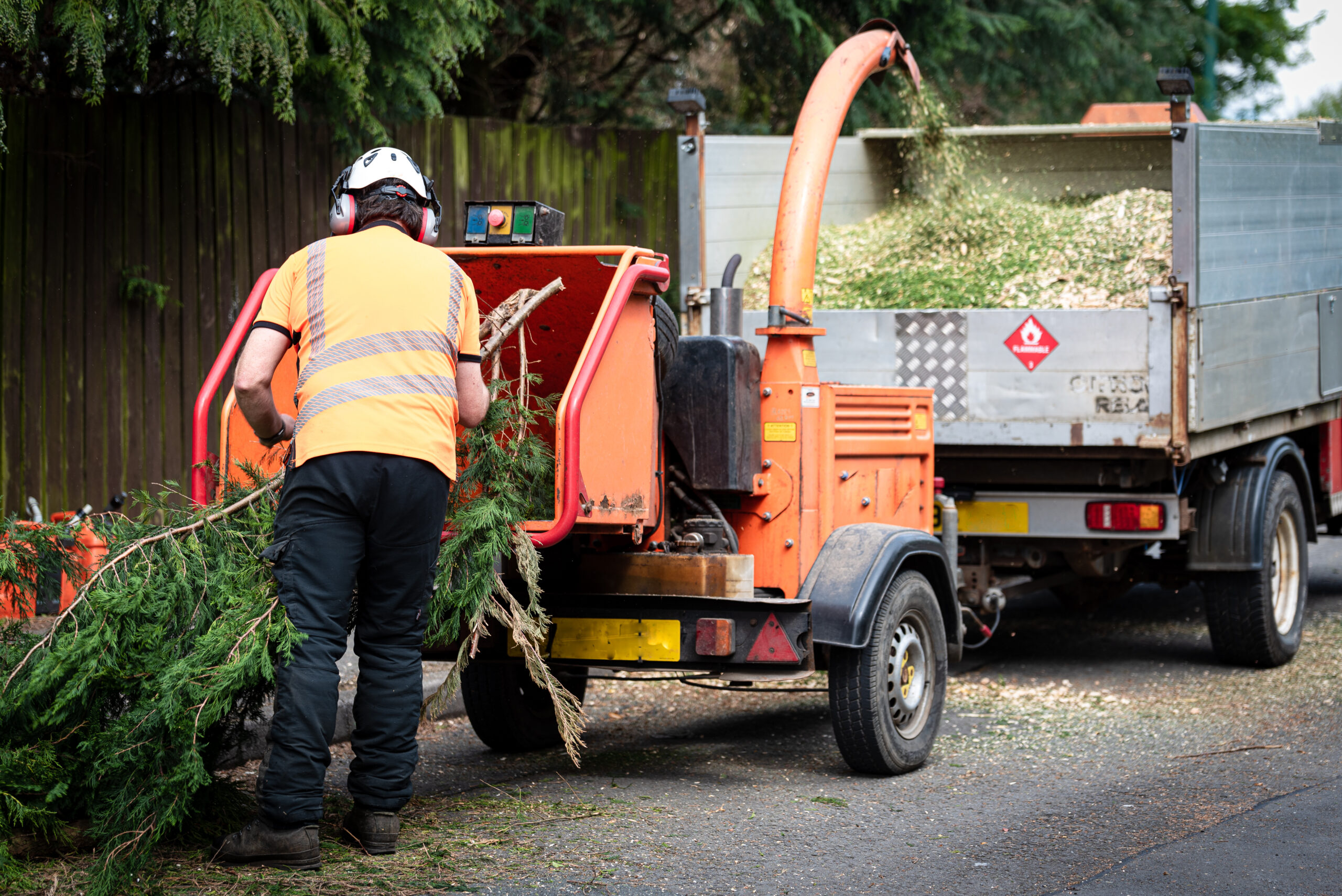 Male Arborist using a working wood chipper machine.The tree surg